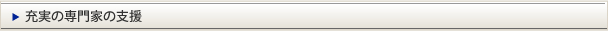 充実の専門家の支援